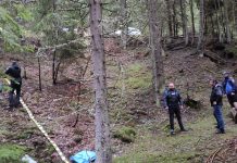 Zeci de câini omorâți și aruncați în pădure