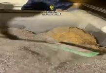VIDEO/ Tutun ascuns sub semințe de floarea soarelui, găsit la vamă