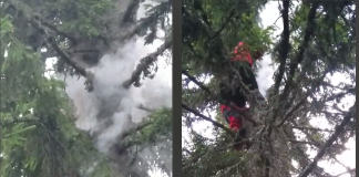 Alertă în Munții Parâng. Un brad lovit de fulger a luat foc